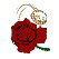 Fleur Ambrosia Rose